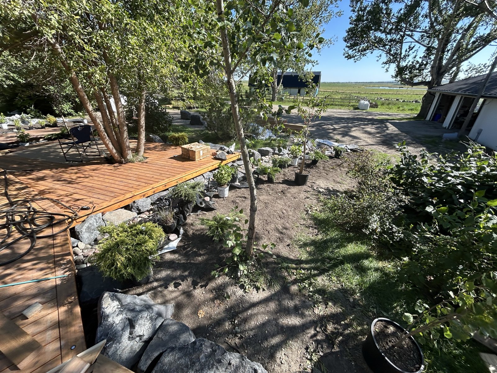 New garden bed with young trees and shrubs planted along a stone-edged walkway